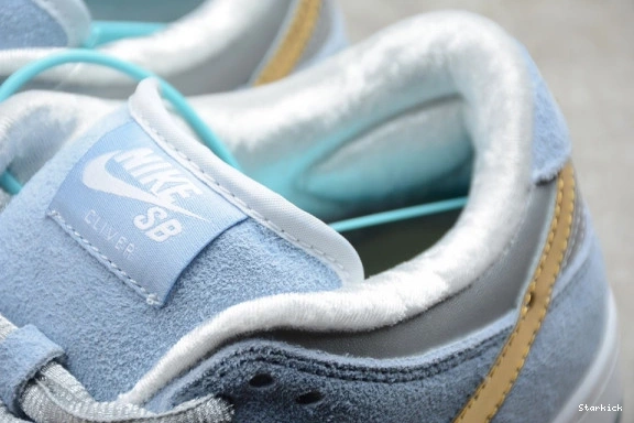 Cliver DC9936-100 Low Sean Dunk Nike SB 1106